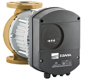 Ebara Ego B